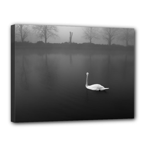 Swan 12  X 16  Framed Canvas Print by artposters