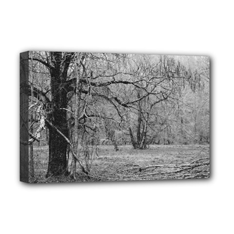 Black And White Forest Deluxe Canvas 18  X 12  (stretched) by Elanga