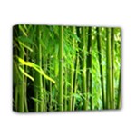 Bamboo Deluxe Canvas 14  x 11  (Framed)