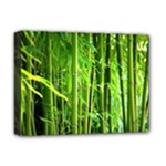 Bamboo Deluxe Canvas 16  x 12  (Framed) 