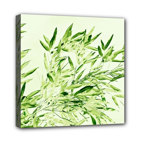 Bamboo Mini Canvas 8  X 8  (framed) by Siebenhuehner