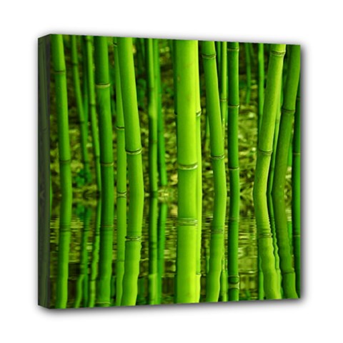 Bamboo Mini Canvas 8  X 8  (framed) by Siebenhuehner