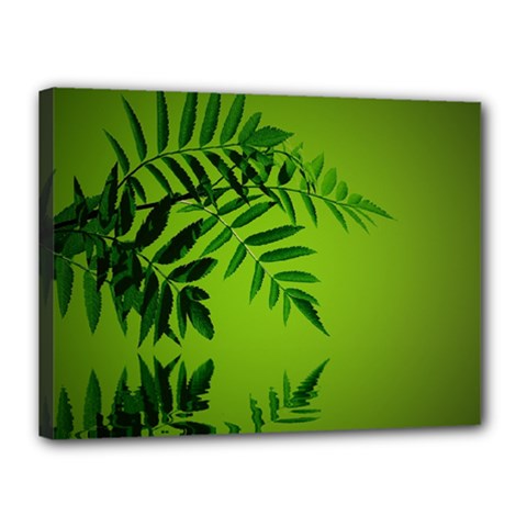 Leaf Canvas 16  X 12  (framed) by Siebenhuehner