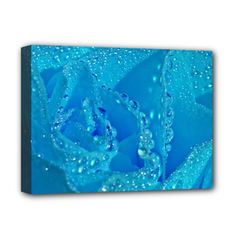 Blue Rose Deluxe Canvas 16  X 12  (framed)  by Siebenhuehner