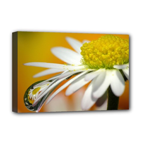 Daisy With Drops Deluxe Canvas 18  X 12  (framed) by Siebenhuehner