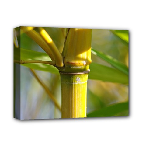 Bamboo Deluxe Canvas 14  X 11  (framed) by Siebenhuehner