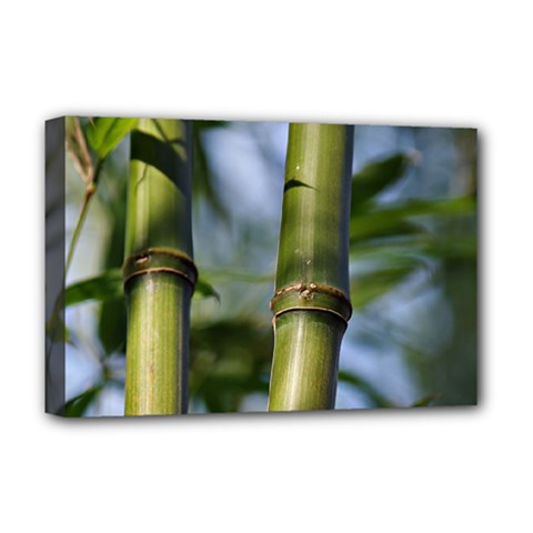 Bamboo Deluxe Canvas 18  X 12  (framed) by Siebenhuehner