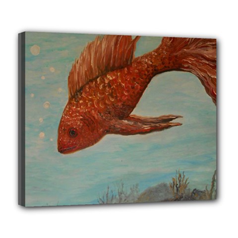 Gold Fish Deluxe Canvas 24  X 20  (framed)