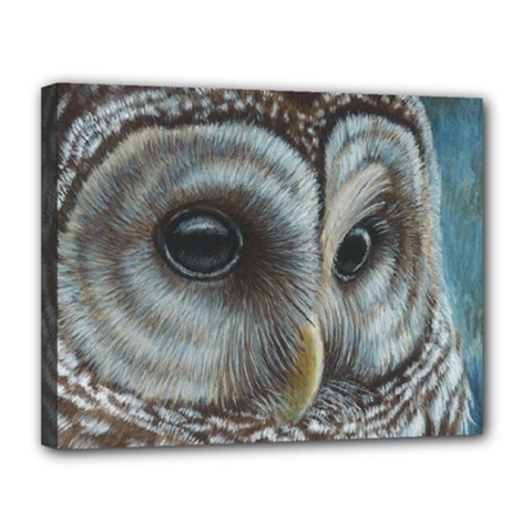 Barred Owl Canvas 14  X 11  (framed) by TonyaButcher