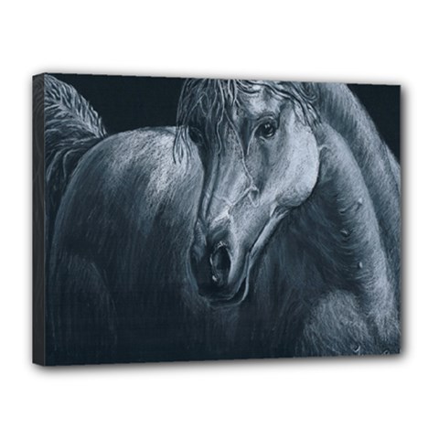 Equine Grace  Canvas 16  X 12  (framed) by TonyaButcher
