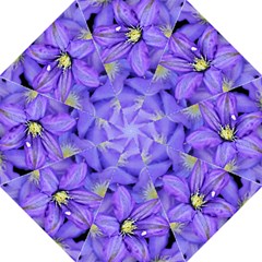 Purple Wildflowers For Fms Folding Umbrella by FunWithFibro