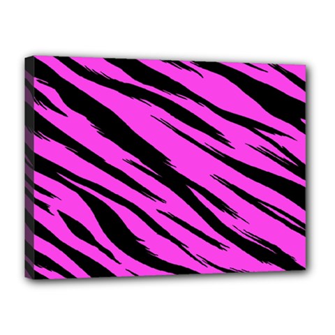 Pink Tiger Canvas 16  X 12  (framed) by ArtistRoseanneJones