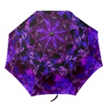 Purple Skulls Goth Storm Folding Umbrellas