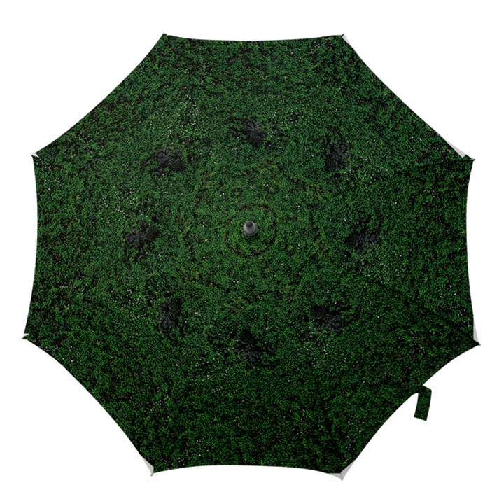 Green Moss Hook Handle Umbrellas (Small)