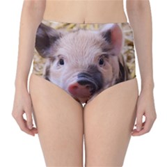 Sweet Piglet High-waist Bikini Bottoms