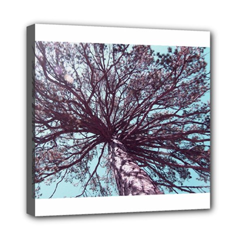 Under Tree Paint Mini Canvas 8  X 8  by infloence