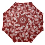 Modern Bokeh 11 Straight Umbrellas