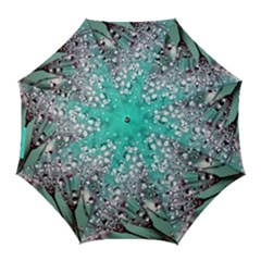 Dandelion 2015 0701 Golf Umbrellas by JAMFoto