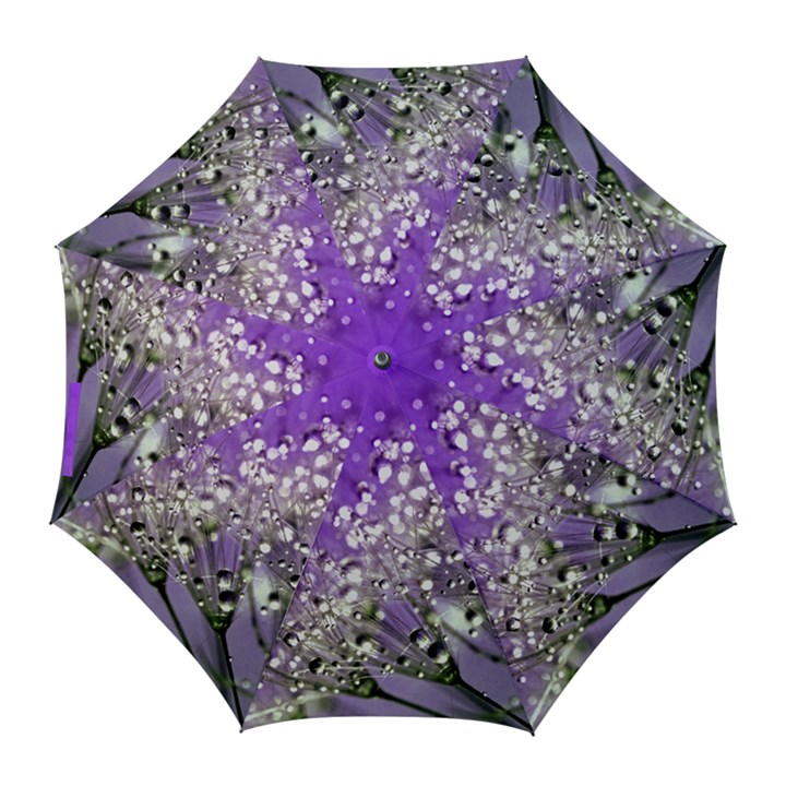 Dandelion 2015 0706 Golf Umbrellas
