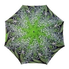 Dandelion 2015 0715 Golf Umbrellas by JAMFoto