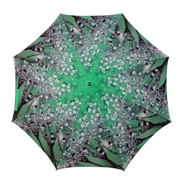 Dandelion 2015 0718 Golf Umbrellas