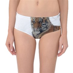 Tiger 2015 0101 Mid-waist Bikini Bottoms by JAMFoto