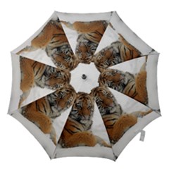 Tiger 2015 0102 Hook Handle Umbrellas (large) by JAMFoto