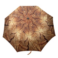 Cross Section Of An Old Tree Folding Umbrellas by trendistuff