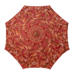 Red Maple Leaves Golf Umbrellas by trendistuff