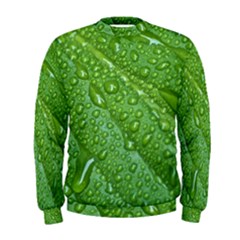 Green Leaf Drops Men s Sweatshirts by trendistuff