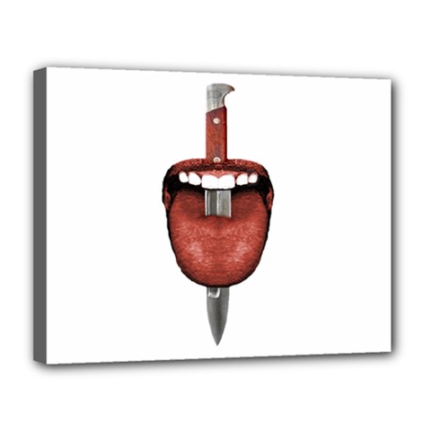 Tongue Cut By Kitchen Knife Photo Collage Canvas 14  X 11  by dflcprints