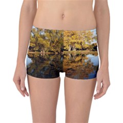 Autumn Lake Reversible Boyleg Bikini Bottoms by trendistuff
