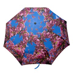 Pink Flowers Folding Umbrellas by trendistuff