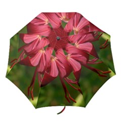 Lilium Red Velvet Folding Umbrellas by trendistuff