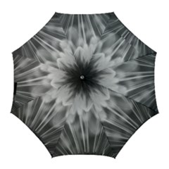 Dandelion Golf Umbrellas by trendistuff