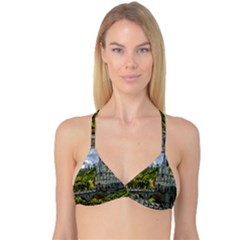 Las Lajas Sanctuary 1 Reversible Tri Bikini Tops by trendistuff