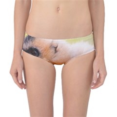 Two Monkeys Classic Bikini Bottoms by trendistuff