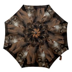 Cute Kitties Hook Handle Umbrellas (small) by trendistuff