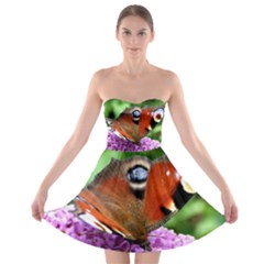 Peacock Butterfly Strapless Bra Top Dress by trendistuff