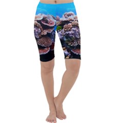 Coral Outcrop 2 Cropped Leggings by trendistuff