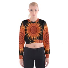 Flaming Sun Women s Cropped Sweatshirt by Zandiepants