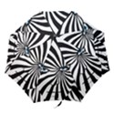 Zebraman Folding Umbrella  View1