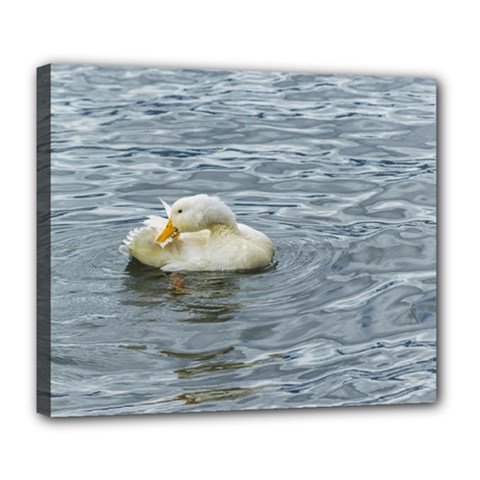 White Duck Preening At Lake Print Deluxe Canvas 24  X 20  
