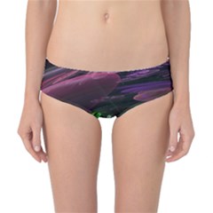 Creation Of The Rainbow Galaxy, Abstract Classic Bikini Bottoms by DianeClancy