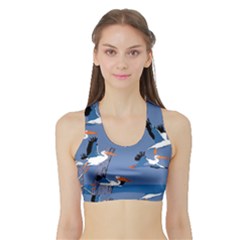 Abstract Pelicans Seascape Tropical Pop Art Women s Sports Bra With Border by WaltCurleeArt