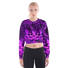 Abstract In Purple Women s Cropped Sweatshirt by FunWithFibro