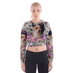 Chi Chi In Flowers, Chihuahua Puppy In Cute Hat Women s Cropped Sweatshirt by DianeClancy
