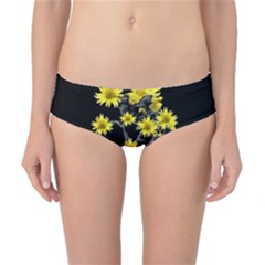 Sunflowers Over Black Classic Bikini Bottoms by dflcprintsclothing