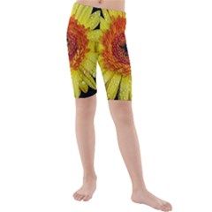 Yellow Flower Close Up Kid s Mid Length Swim Shorts