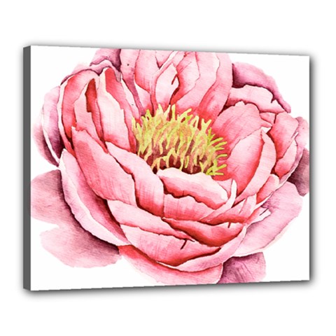 Large Flower Floral Pink Girly Graphic Canvas 20  X 16 